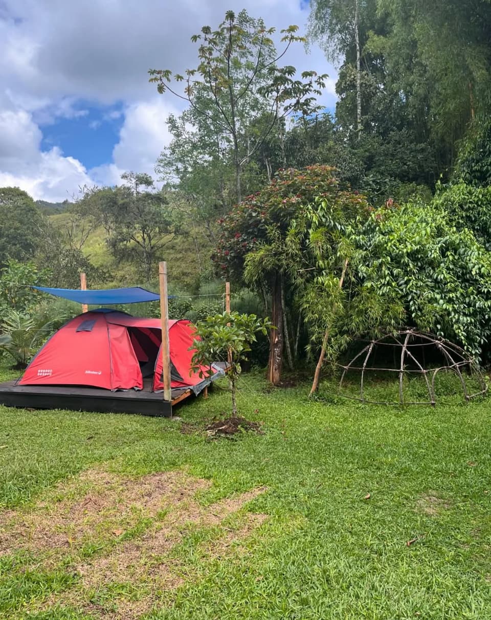 Carpa roja sobre una plataforma de madera bajo una lona azul, en un prado rodeado de árboles, junto a una estructura de varas en forma de domo.