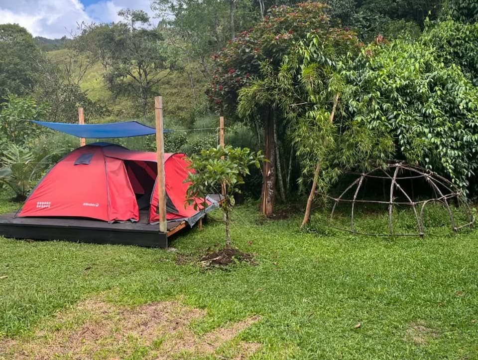 Carpa roja sobre una plataforma de madera bajo una lona azul, en un prado rodeado de árboles, junto a una estructura de varas en forma de domo.