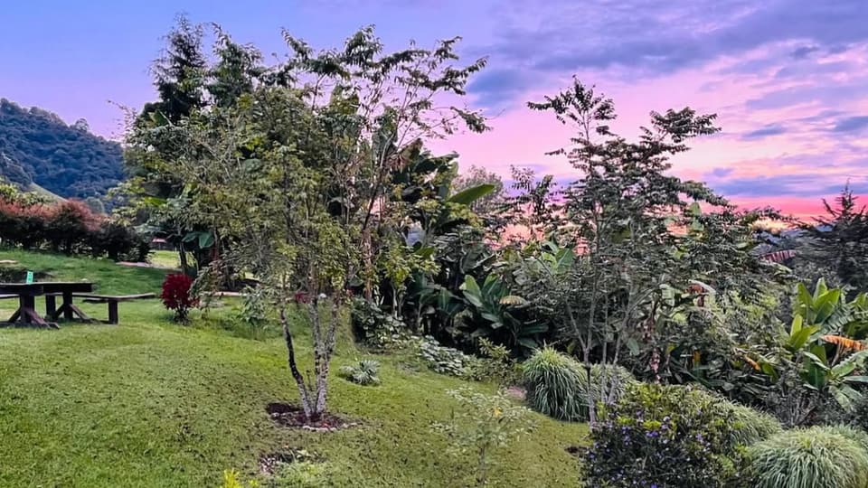 Jardín con prado, árboles jóvenes, plantas tropicales y una mesa de picnic de madera bajo un cielo rosado y morado al atardecer, con montañas a la izquierda.