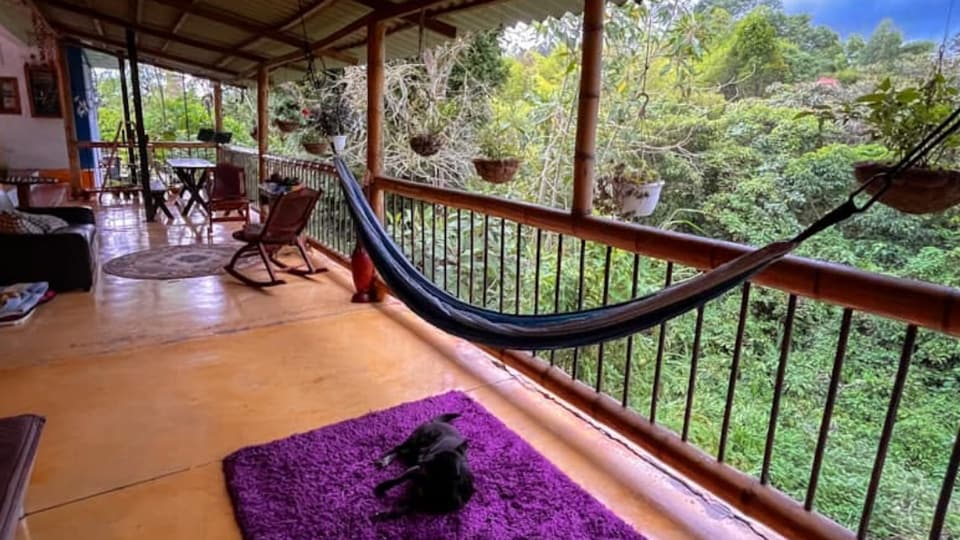 Terraza cubierta con baranda de guadua, una hamaca azul y blanca, mecedoras, matas colgantes y un perro negro durmiendo sobre un tapete morado, frente a un bosque verde.