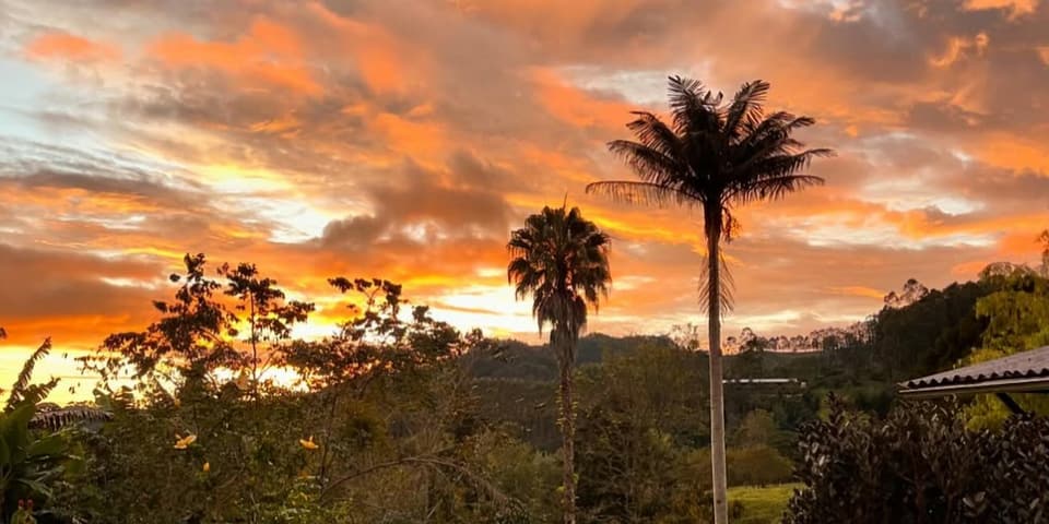 Atardecer naranja y rosado sobre el valle visto desde la finca, con una palma alta y delgada recortada contra las nubes y el jardín en primer plano.